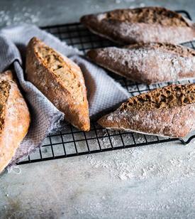 BRUIN MEERGRANEN RUITBROODJE